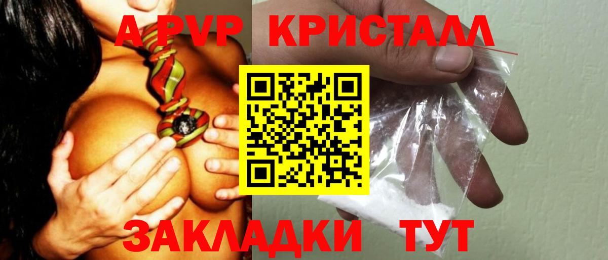 Альфа ПВП СК КРИС  A-PVP  Балтийск  Вход с VPN 