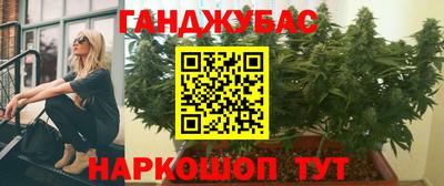 сатива Жуковский