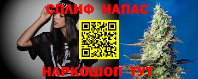 сатива Жуковский