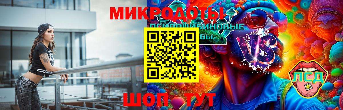 Псилоцибиновые грибы MAGIC MUSHROOMS Балтийск
